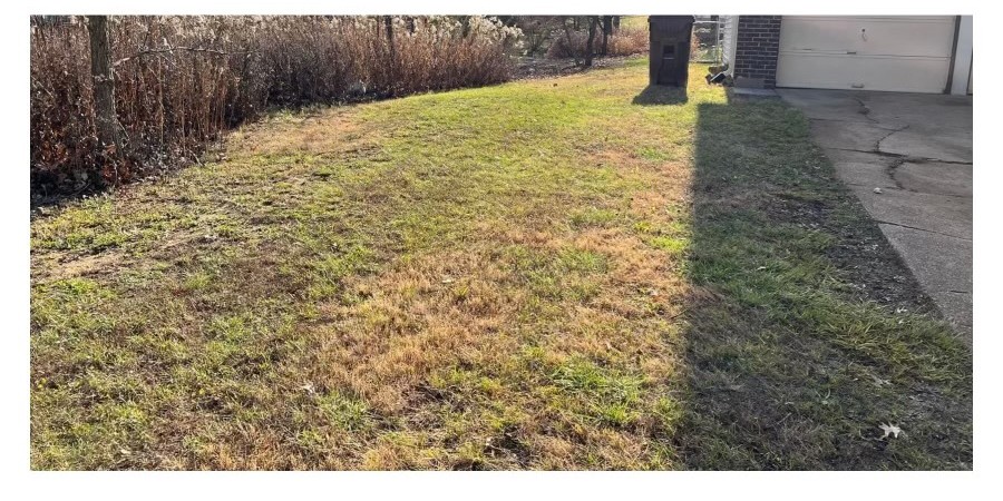 Same lawn cleared of leaves after property cleanup