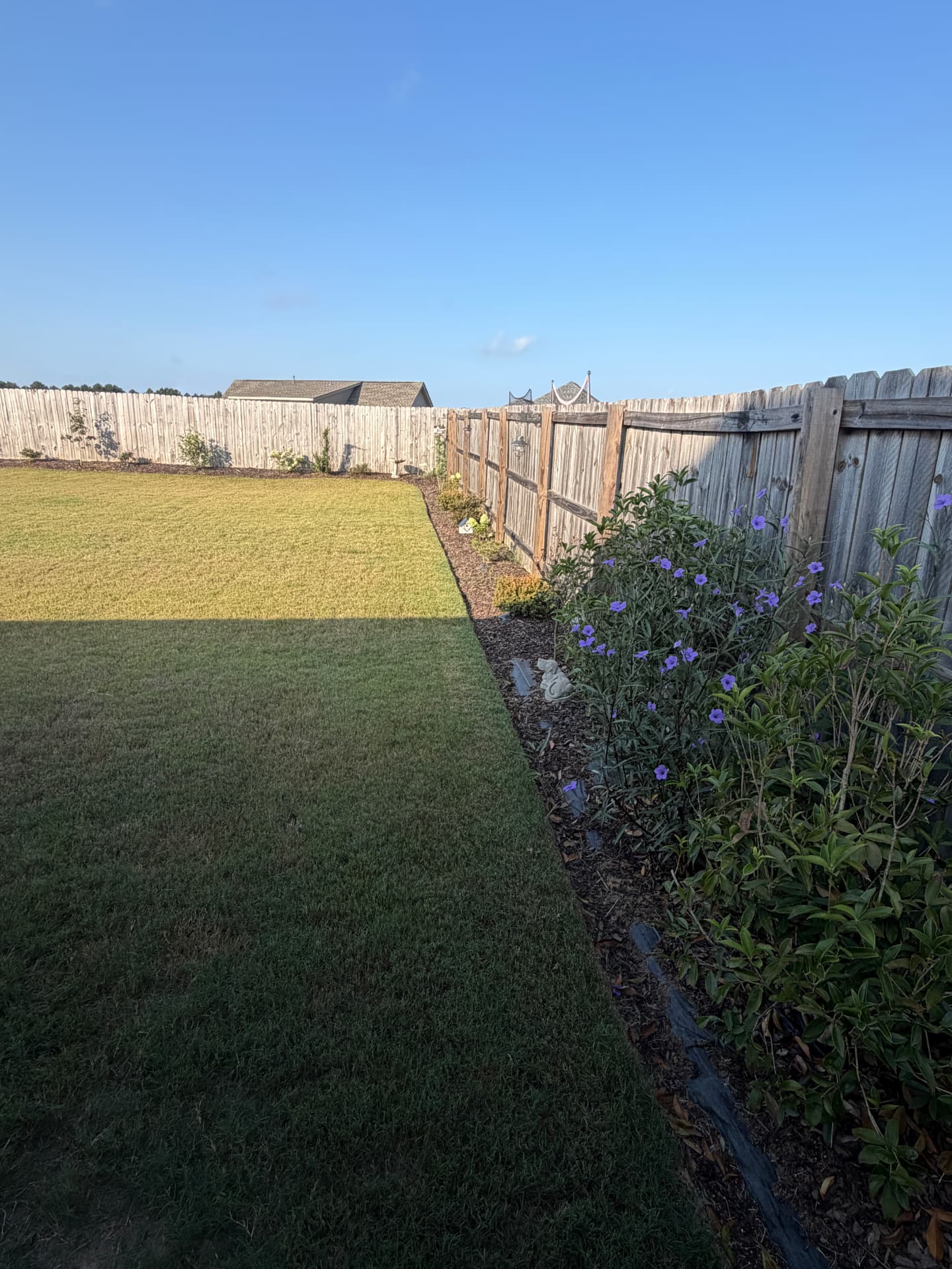 Backyard bed before fresh mulch — thin coverage along the fence