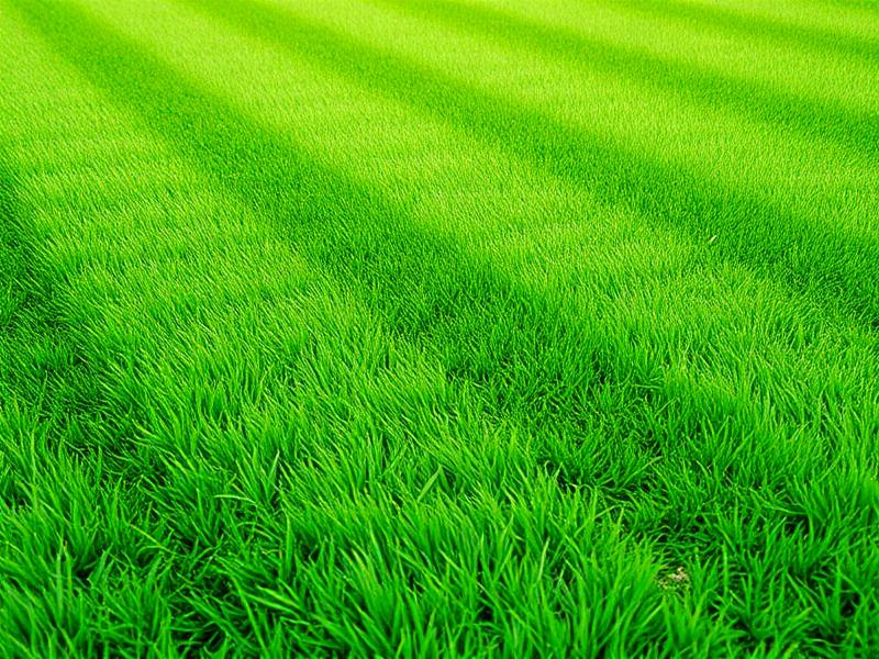 Lawn Mowing, Trimming & Edging